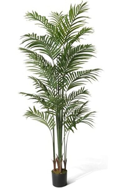 NEXIFY شجرة نخيل أريكا اصطناعية - نبات صناعي واقعي للاستخدام الداخلي للمنزل والمكتب والديكور الخارجي