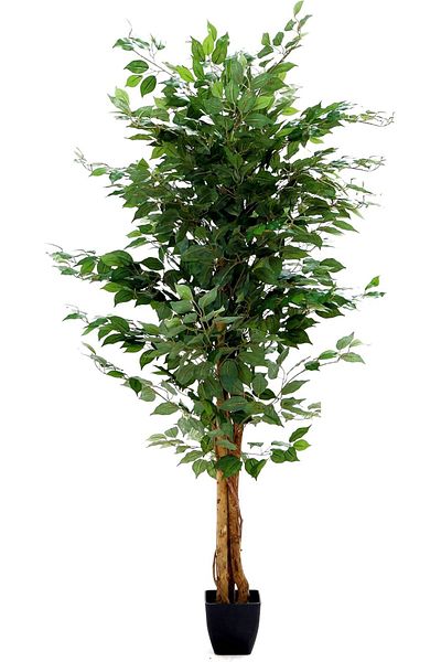 NEXIFY 6FT Artificial Ficus Tree With Natural Wood Trunk and Green Moss in Pot, Artificial Plant
