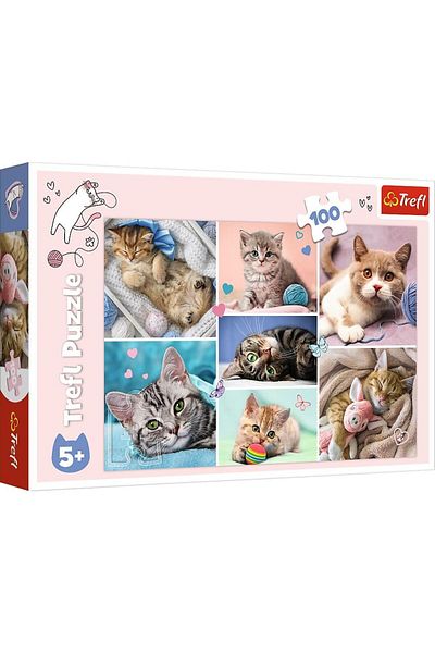 Trefl Trefl Puzzle, In the World of Cats, 100 pieces