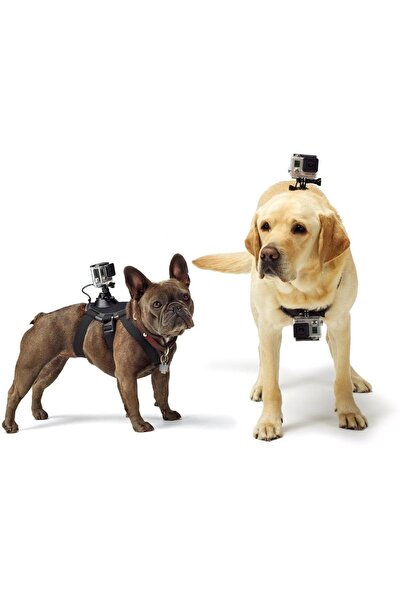 GoPro GoPro Fetch Dog Harness ADOGM-001