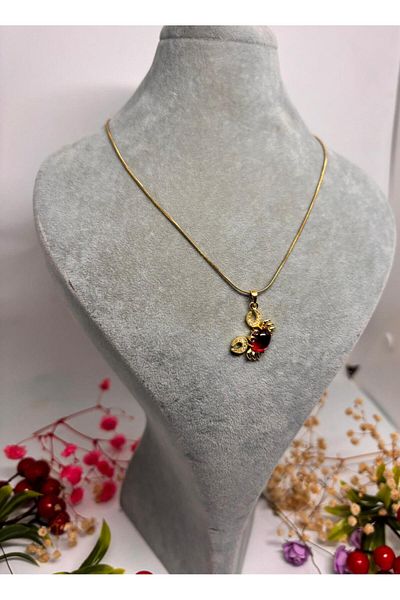ısıkkonya Stainless Steel Crab Stylish Necklace Suitable for Daily Use [Allergy-Free Product]