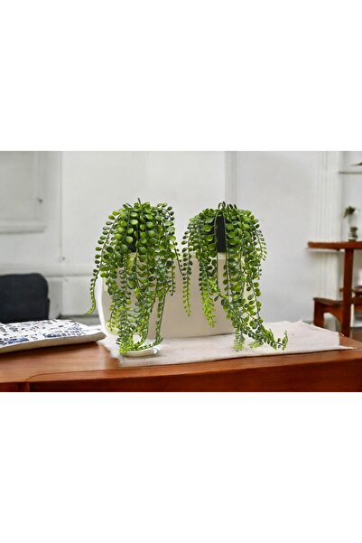 Ayshe Home Concept Dekoratif Saksılı Yapay Sarkıt Bitki Çiçek Sarmaşık Karışık Renk 35cm