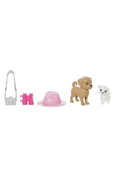 Barbie Barbie and Stacie Playset - To the Rescue, Puppy-Loving Stacie