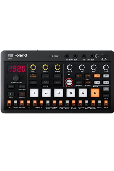ROLAND P-6 Sound Module