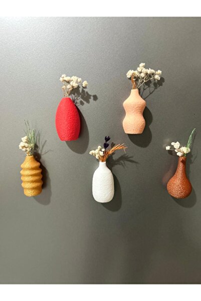 Safemarket Renkli 5 Adet Magnet-Dekor Seti