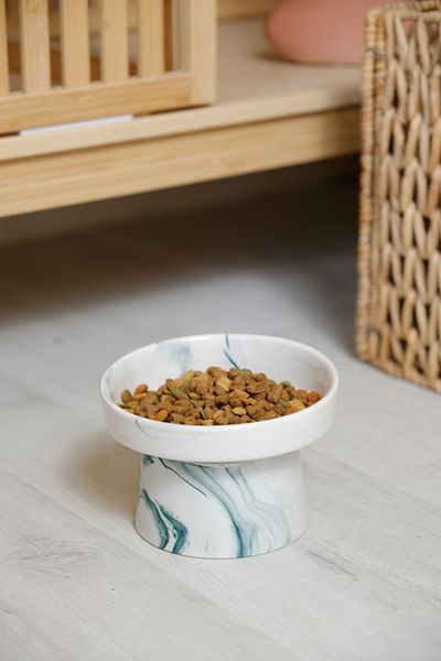 Porsellena Ceramic Slanted Cat and Dog Food Bowl Slanted and Elevated