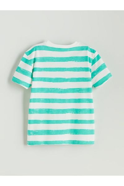 LC Waikiki Crew Neck Striped Boy T-Shirt