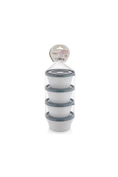 Eng Fom Home Voce Plastic Honeycomb 4-Piece Storage Container