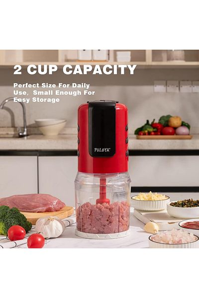 rexa Mini Prep Food Processor – 2 Cup Small Electric Food Chopper
