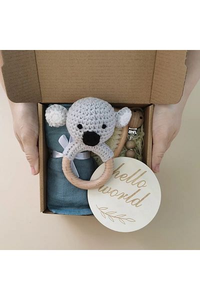 OEM Set bebelusi "Hello World", model Koala