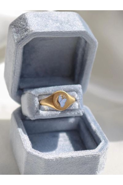 Reorah Collection Vintage Blue Butterfly Steel Ring