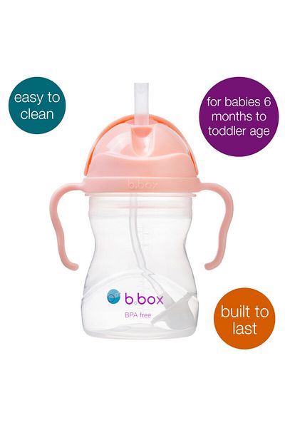 Bbox B.Box Sippy Cup , Drink From Any Angle , Fliptop, Weighted Straw, From 6M+, 240Ml/8 Oz, Tutti Frutti
