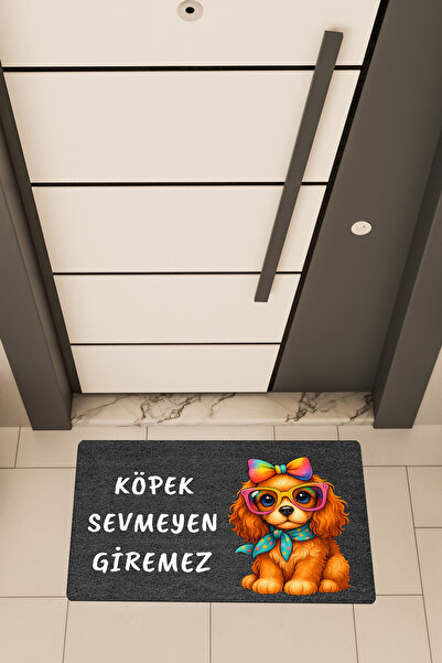 Dormot Home Imprimare digitală de înaltă calitate, covoraș de ușă cu tema spu...