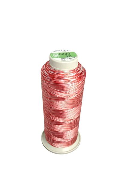 Enstitü İplik Machine Embroidery Thread Marbled (Floss-Silk) 150X2 Ply 5090-2500m
