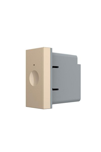Livolo Livolo 1M Italian standard simple touch switch module, New Series (Gold)