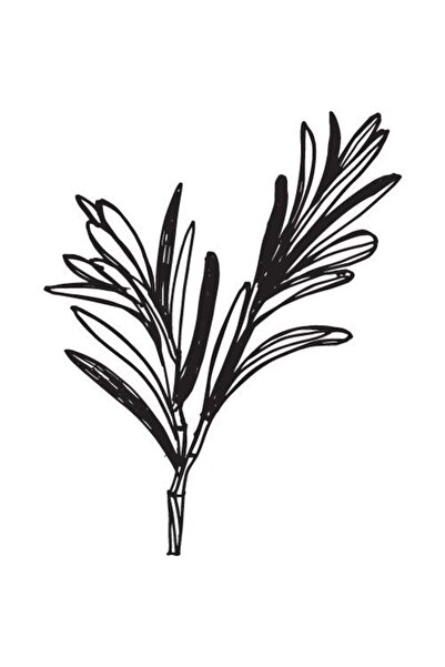 Alteya Organics Ulei de rozmarin 100% Alteya Organics 5 ml