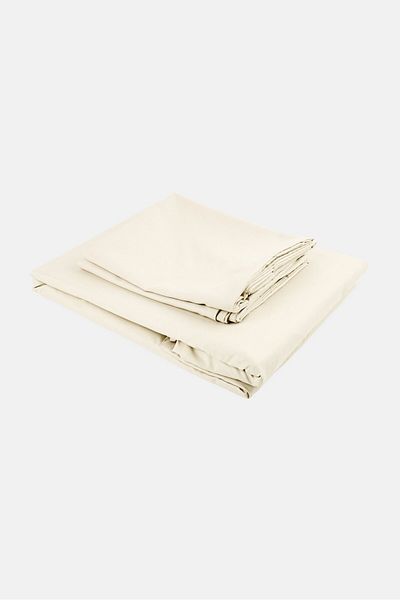 COTTON HOME 3Pc Single Solid Fitted Sheet, Ivory