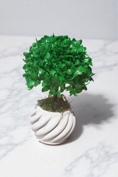 İLİVA 20 Cm Yapay Ağaç Saksılı Yapay Çiçek