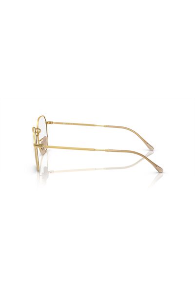 Ray-Ban Ray Ban Vista Unisex Irregular Eyeglasses- Rb 3694v - Lense Size:51mm - Havana On Silver