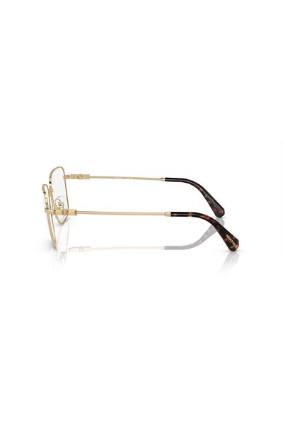 Swarovski Woman Rectangular Eyeglasses- Sk 1003 - Lense Size:53mm - Pale Gold
