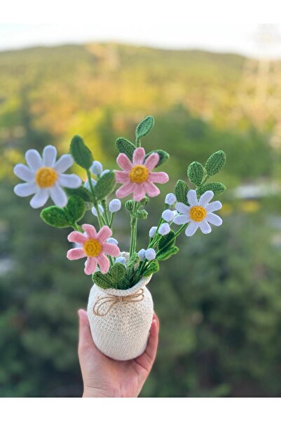 El örgüsü Örgü Saksılı Beyaz Papatya