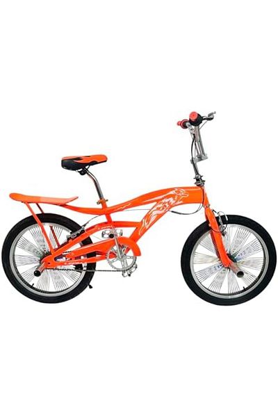 ALBADER Cobra Bike For Boys, Cobra 20-Inch Size, Mountain Bike With Dual Disc Brake & Adjustable