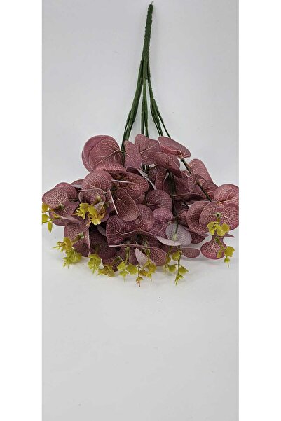 YASİMA 16 فرعًا من زينة ديكور المنزل من الأوكالبتوس المجفف