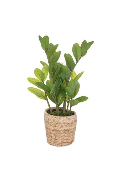 Own Artificial Plant W/Pot (25 x 41 cm)
