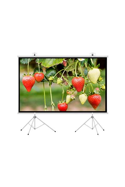 FlashHawk 100 inch 16:9 Portable Projection Screen with 2 Tripod Stands for Outdoor and Indoor Home Theater