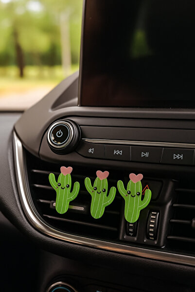 Çiçek Antalya 3 قطع من زينة مكيف الهواء للسيارة على شكل قلب صغير على شكل صبار...