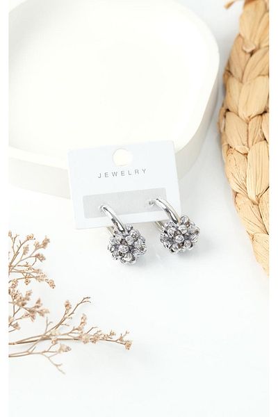Jack Ferrero Silver Steel Women's Earrings
