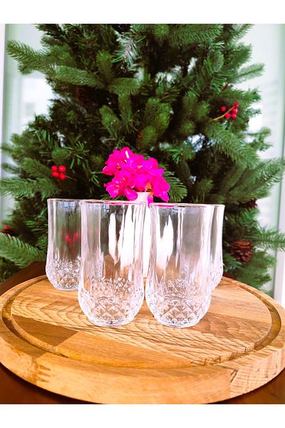 Madame Coco Adrey 4-Pack Long Size Liquor Glasses