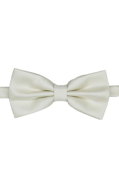 SIRRI Modern and Stylish Large Bow Tie for Men 14 Years and over (6X12 cm)