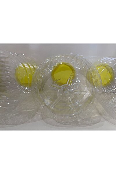 sürmene çarşı avm ÇARŞI A.V.M. 5000CC 5 LT SIVI KAPASİTELİ PET SAKLAMA KABI 4...