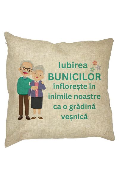 BEKZ Față de pernă pentru bunici 5, 40x40 cm