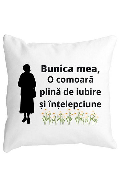 BEKZ Pillowcase For Grandma 17, 40x40 Cm, White, Matte