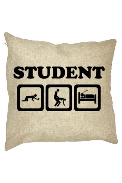 BEKZ Perna Decorativa Patrata Student, 40x40 cm, Husa Detasabila, Burduf
