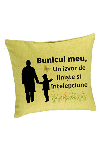 BEKZ Διακοσμητικό μαξιλάρι για τον παππού 6, 40x40 εκ., Πράσινο, Αφαιρούμενο ...