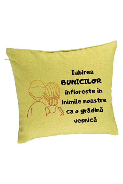 BEKZ Față de pernă pentru bunici 10, 40x40 cm, verde