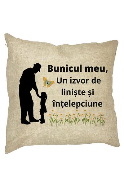 BEKZ Față de pernă pentru bunic 5, 40x40 cm