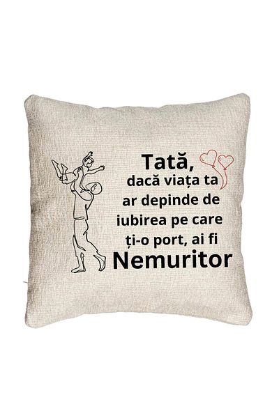 BEKZ Perna Decorativa Canapea, Model pentru Tata 10, 40x40 cm, Cu fermoar