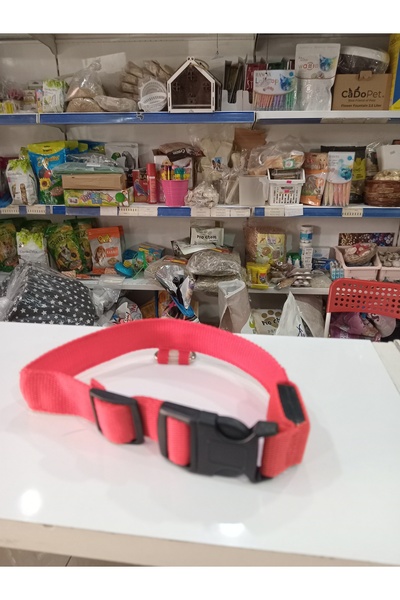 Pro Chem Adjustable Neck Collar with Light Size m