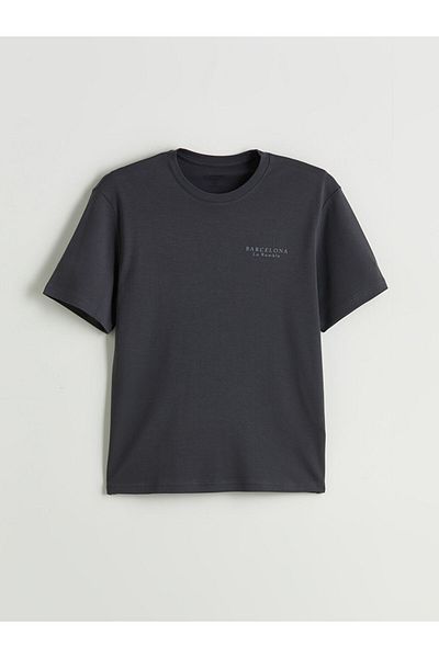 LC Waikiki Crew Neck Printed Men's T-Shirt