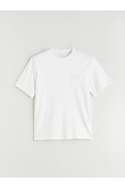 LC Waikiki Crew Neck Printed Men's T-Shirt