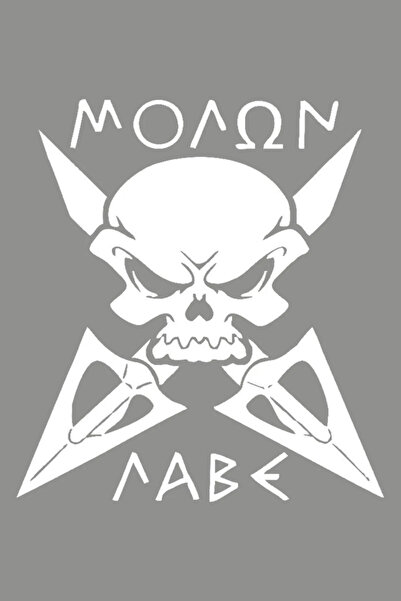 TSC ملصق مثير للاهتمام على شكل رأس جمجمة سيف باللون الأبيض للسيارة مقاس 25 سم