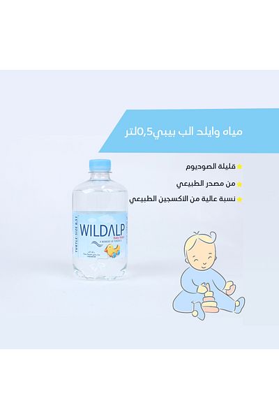 WILDALP Wild Alp Baby Water Carton 1*12*500ml (Nature's Gift for Your Baby)