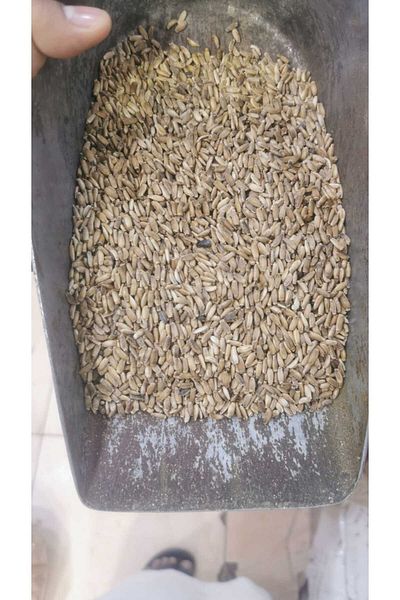 Generic 1 kg Organic Milk Thistle Seeds Superfoods for Liver Cleansing, Immunity Boost and Blood S