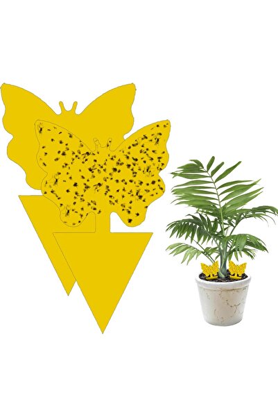 Slons Aksesuar sinek yapışkanı bitki için sinek kapanı sinek yakalayıcı dekor...