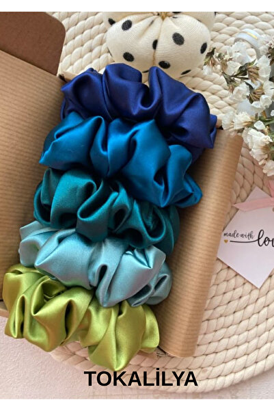 TOKALİLYA Kadın 5li Çapı 15 Cm Saten Saç Lastik Simit Scrunchie Toka Seti
