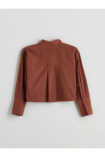 LC Waikiki Lcwaikiki classic brown crop women's shirt